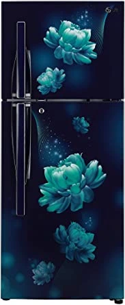 LG 260L 3 Star Smart Inverter Frost-Free Double Door Refrigerator