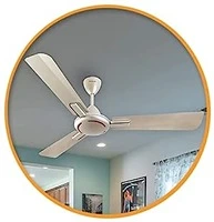 Fans
